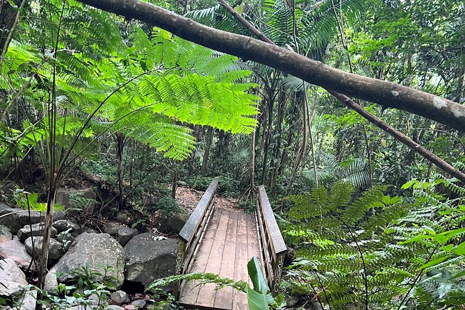 El Yunque National Forest Guided Tour with Transport - Why This El Yunque Tour Works Without You Doing Any Planning