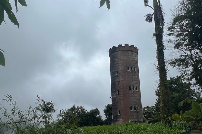 El Yunque National Forest Guided Tour with Transport - Stop 3 at Bano Grande: CCC-Era Recreational History in About 25 Minutes