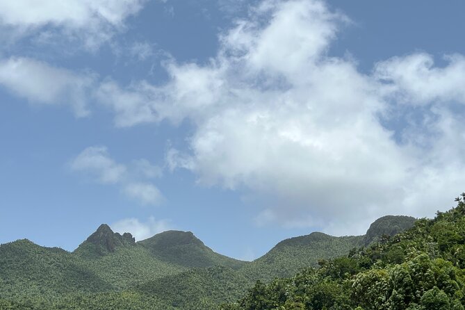 El Yunque National Forest Guided Tour with Transport - The Lunch and Souvenir Stop: Local Food Without Turning It Into a Hunt