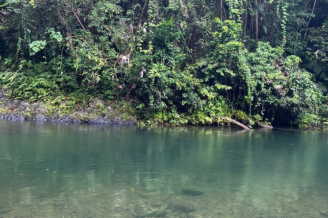 El Yunque National Forest Guided Tour with Transport - Group Size and Guide Style: What You Get From Local Storytelling