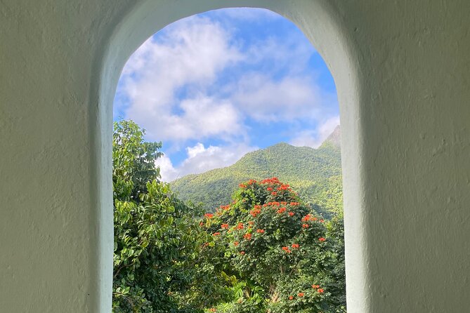 El Yunque National Forest Guided Tour with Transport - Comfort, Fitness, and Rain: The Practical Stuff That Keeps the Day Fun