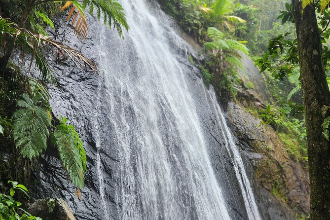 El Yunque National Rainforest and Luquillo Beach Tour - El Yunque and Luquillo in one 6.5-hour day: the real payoff