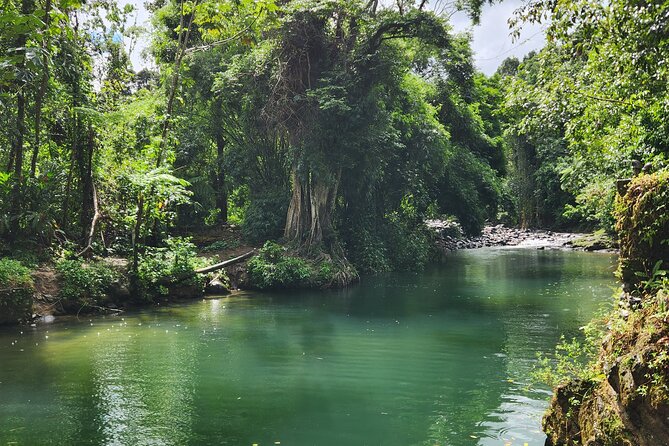 El Yunque National Rainforest and Luquillo Beach Tour - Luquillo Beach and the kiosk area: where the day turns social