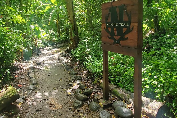 El Yunque National Rainforest and Luquillo Beach Tour - Price and what you really get from the $79 cost