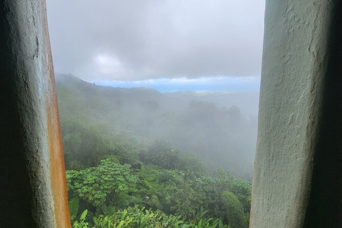 El Yunque National Rainforest and Luquillo Beach Tour - Who this tour fits best, and who should choose differently