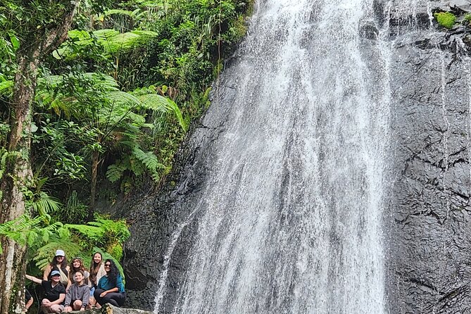 El Yunque National Rainforest and Luquillo Beach Tour - Ride from San Juan to El Yunque: how the timing sets up great views