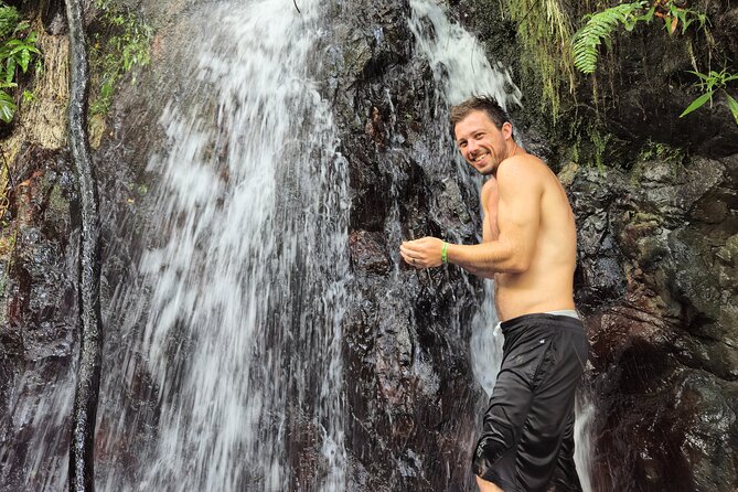 El Yunque Rainforest and Luquillo Kiosk Day Trip - Norte Shopping Center start, then straight into jungle mode