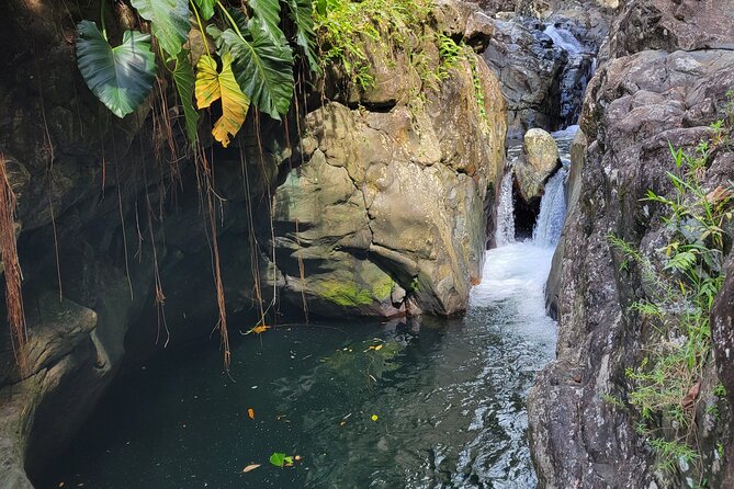 El Yunque Rainforest and Luquillo Kiosk Day Trip - Pools, rope swings, and cliff jumps with lifeguard-led safety