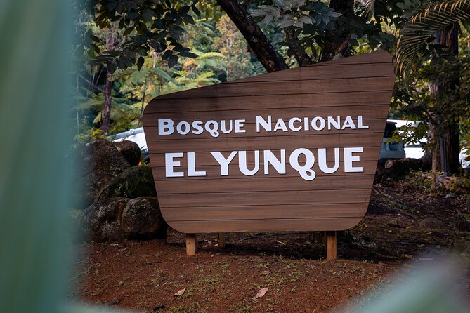 El Yunque Rainforest EZ-going Bus Tour (wheelchair accessible) - Key highlights at a glance