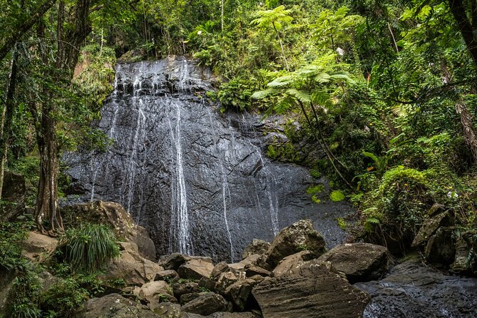 El Yunque Rainforest EZ-going Bus Tour (wheelchair accessible) - Cataratas Juan Diego: optional easy walking for waterfall fans