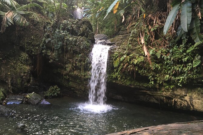 El Yunque Rainforest EZ-going Bus Tour (wheelchair accessible) - Baño Grande: a calmer stop that adds variety
