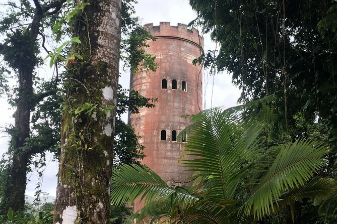 El Yunque Rainforest EZ-going Bus Tour (wheelchair accessible) - Luquillo Kioskos: your 1-hour cultural food break