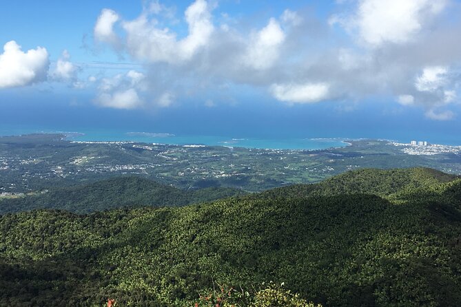 El Yunque Rainforest EZ-going Bus Tour (wheelchair accessible) - El Portal Visitor Center, where the rainforest stops being just pretty