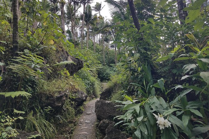 El Yunque Rainforest Full Day Private Tour - Catarata La Coca: a short waterfall window for photos