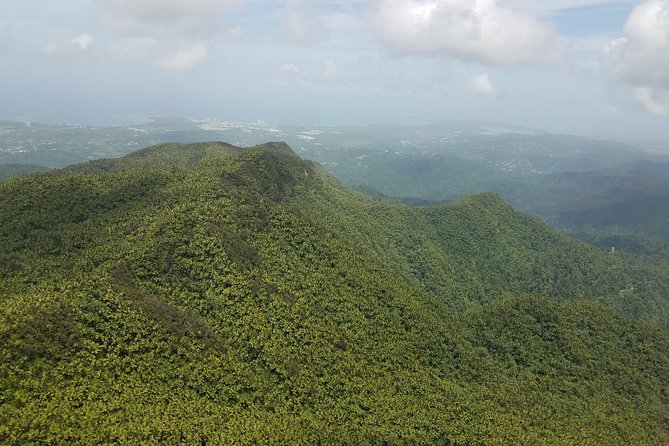 El Yunque Rainforest Full Day Private Tour - Torre Yokahu: the 1-hour observation tower payoff