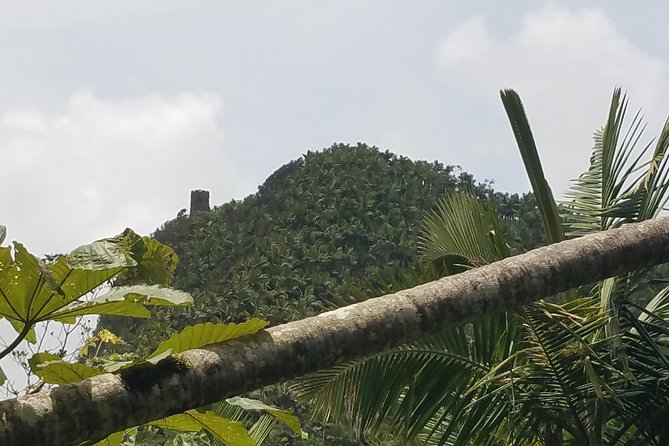 El Yunque Rainforest Full Day Private Tour - Comfort and logistics: water, WiFi, A/C, and pickup realities