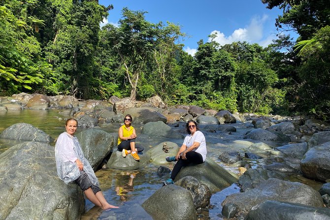 El Yunque Rainforest Guided Day Tour from San Juan - San Juan to El Yunque: a smart half-day use of your time