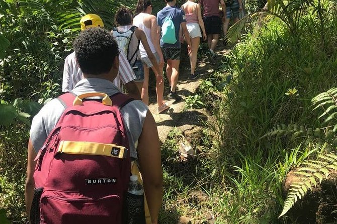 El Yunque Rainforest Guided Day Tour from San Juan - Mameyes II: the river walk and the swim, when conditions allow
