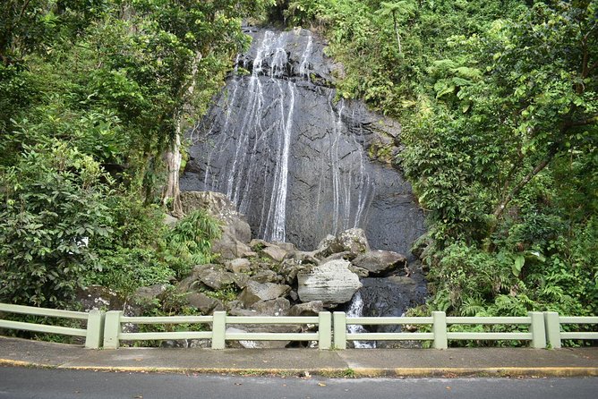 El Yunque Rainforest Guided Day Tour from San Juan - How much hiking is it, really?