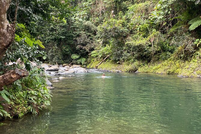El Yunque Rainforest Guided Day Tour from San Juan - Lunch on your own: a local meal stop that you control