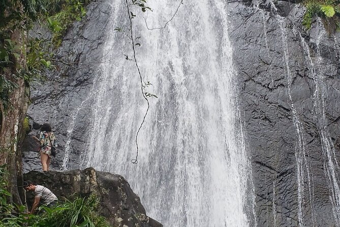 El Yunque Rainforest Guided Tour - Leaving San Juan for El Yunque, without the headache