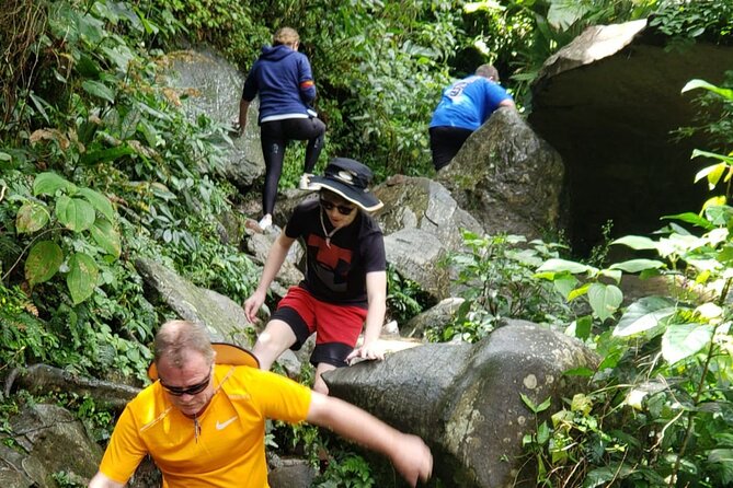 El Yunque Rainforest Guided Tour - Cooling off in the rivers: swim time and what to bring