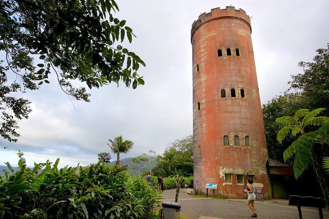 El Yunque Rainforest Guided Tour - The view stops: tower time and a waterfall visit