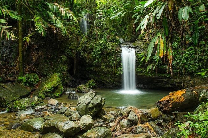 El Yunque Rainforest Guided Tour - Lunch break: what you do with the extra time