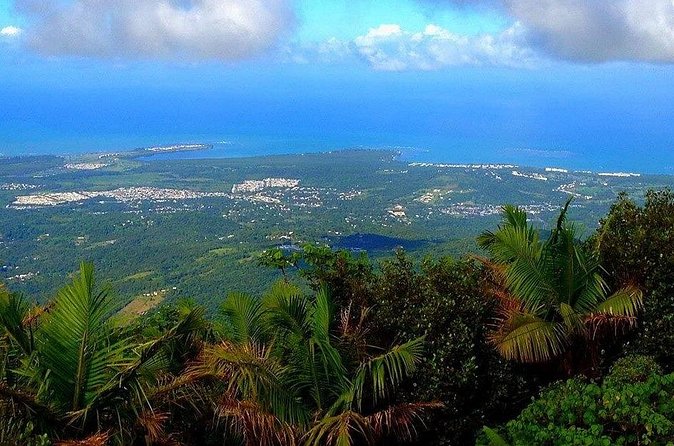 El Yunque Rainforest Guided Tour - Who this tour fits best, and who should think twice