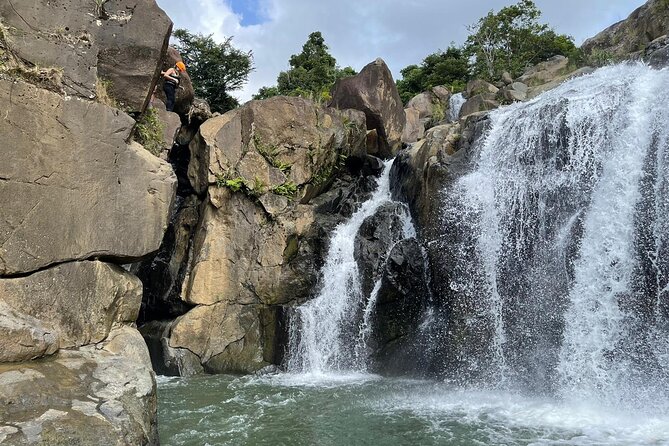 El Yunque Rainforest Hike and Luquillo Beach Tour - Weather, safety gear, and how to plan for a smooth day