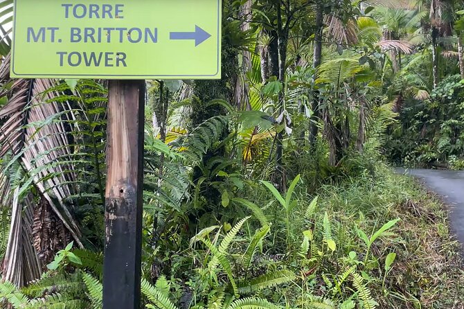 El Yunque Rainforest Hike with Transport from San Juan - San Juan pickup to El Yunque: how the morning sets you up