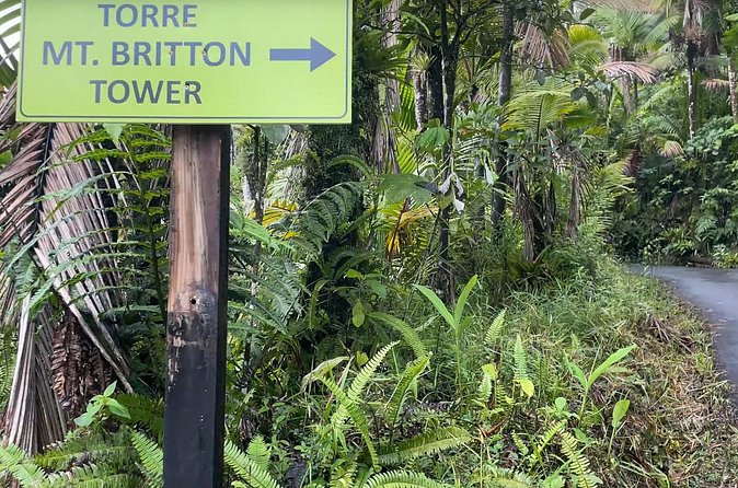El Yunque Rainforest Hike with Transport from San Juan - Fitness level and expectations: how to match the hike to your goals