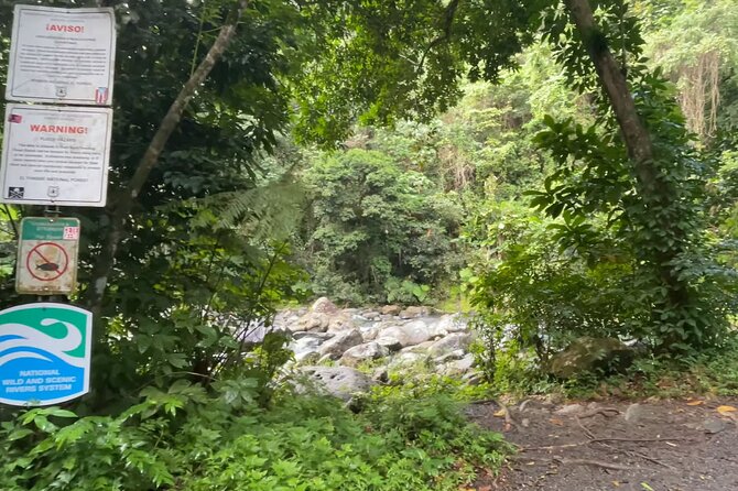 El Yunque Rainforest Hike with Transport from San Juan - Price and value: does $125 per person make sense here?