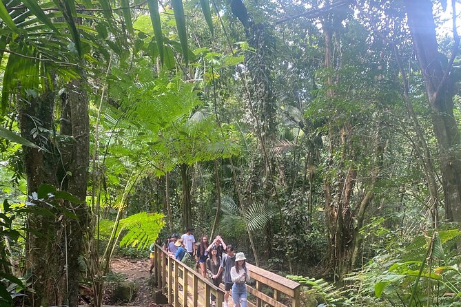 El Yunque Rainforest Hiking Tour from San Juan - Key Highlights Worth Planning For