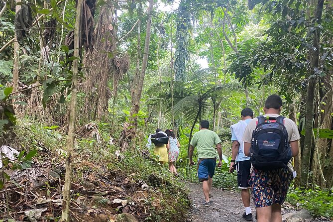 El Yunque Rainforest Hiking Tour from San Juan - Why This Half-Day El Yunque Tour Feels Easier Than DIY