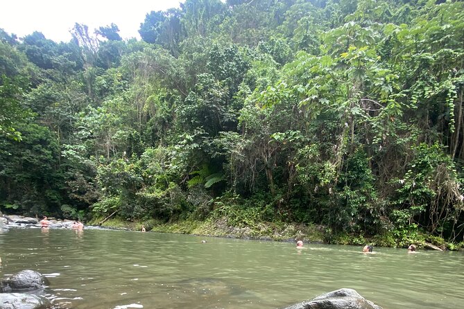 El Yunque Rainforest Hiking Tour from San Juan - La Coca Waterfall: The Stop That Makes the Rainforest Feel Real