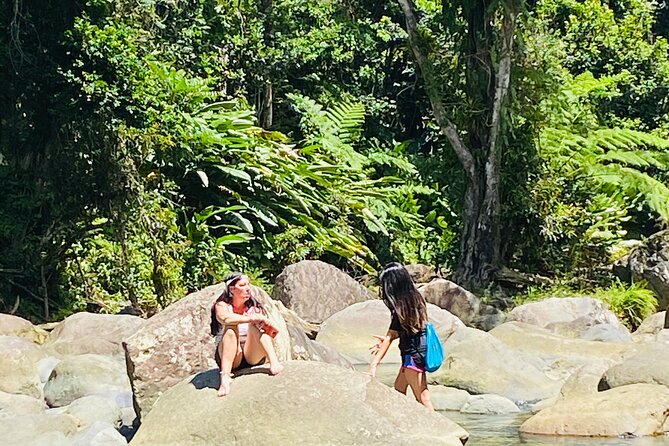 El Yunque Rainforest Hiking Tour from San Juan - The Trail Walk and Natural Pool Stop, Plus the Swim Question