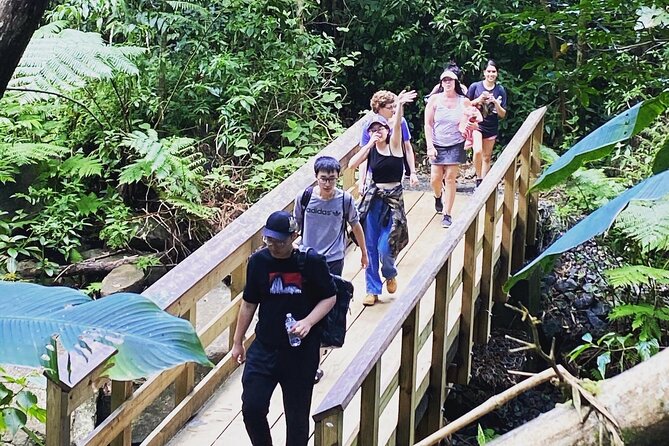 El Yunque Rainforest Hiking Tour from San Juan - Group Size, Comfort, and the “Short But Sweet” Trade-Off