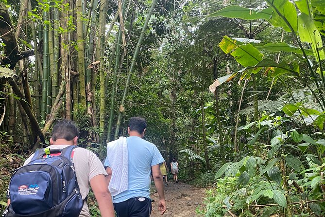 El Yunque Rainforest Hiking Tour from San Juan - Price Value: What $79 Covers, and What It Does Not