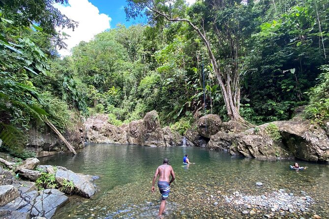 El Yunque Rainforest Morning River and Hike Adventure - Key highlights worth your attention