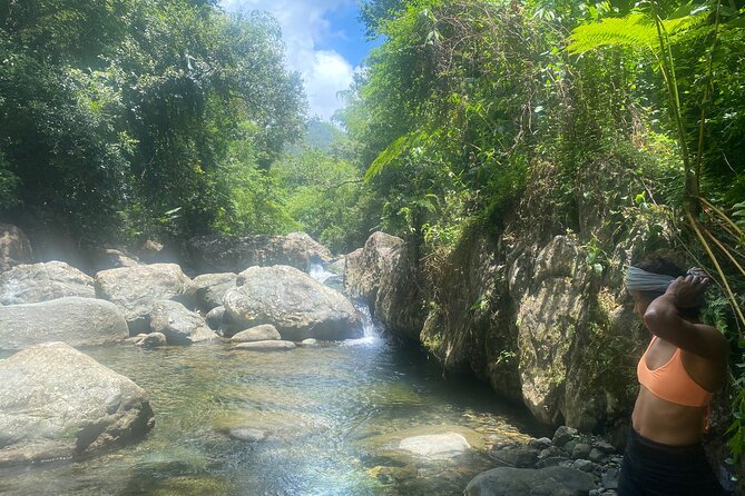 El Yunque Rainforest Morning River and Hike Adventure - Puerto Rican food after the rainforest: plan for lunch