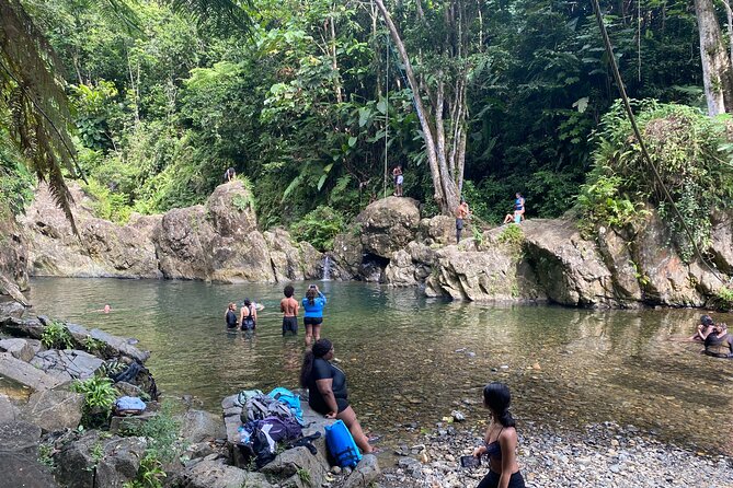 El Yunque Rainforest Morning River and Hike Adventure - Price and value: is $120 fair for 7 hours?