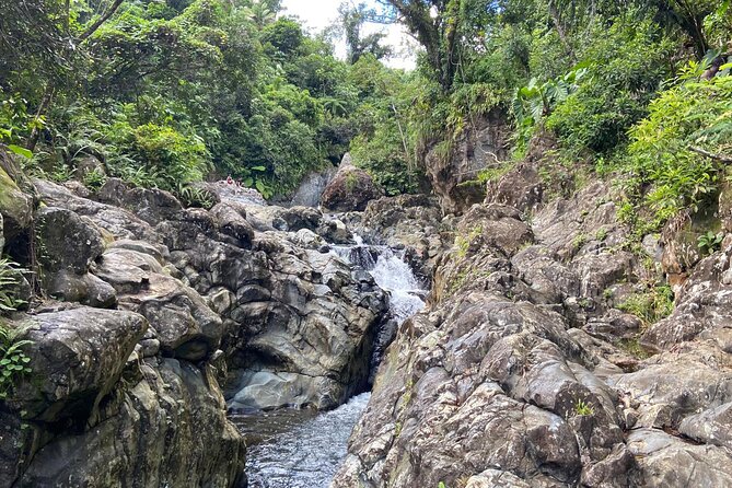 El Yunque Rainforest Morning River and Hike Adventure - The rainforest hike: short, clear trails and a family-friendly pace
