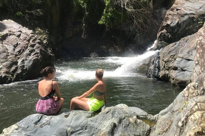 El Yunque Rainforest Tour from Fajardo - Key Highlights You’ll Actually Care About