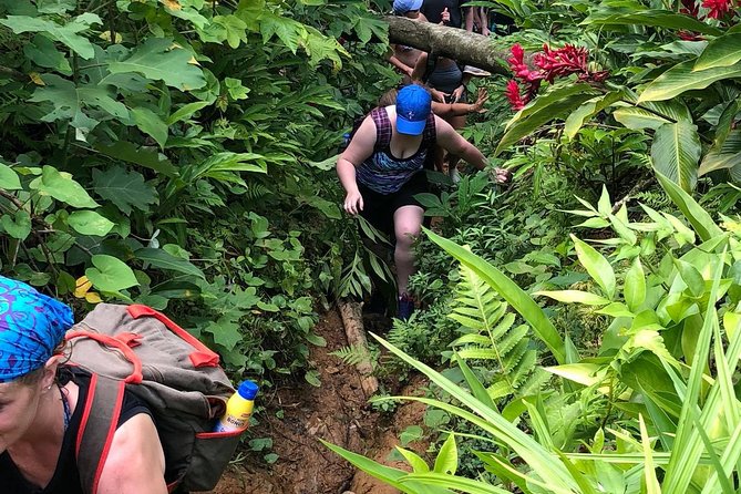 El Yunque Rainforest Tour from Fajardo - Why This El Yunque Tour Feels Different From Typical Day Trips