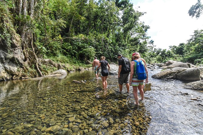 El Yunque Rainforest Tour from Fajardo - Stop 1 at Las Tinajas and Charco Frío: Your First Pool and the First Test of Traction