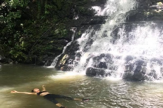El Yunque Rainforest Tour from Fajardo - Who Should Book, and Who Should Skip This One