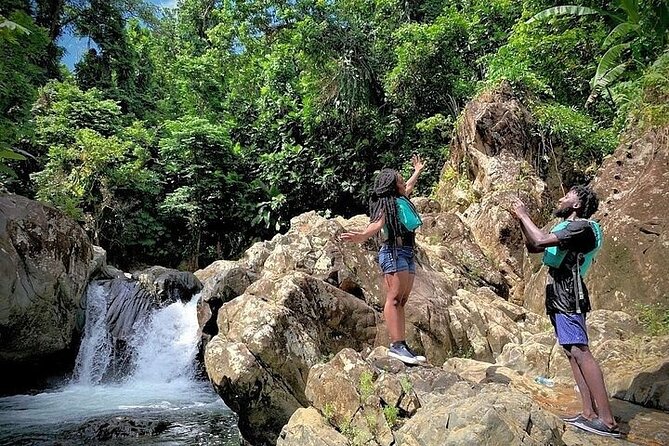 El Yunque Rainforest Tour Half Day Earlybird/ Small Groups - Water slide, rope swing, and cliff jumping: the big action in a short window