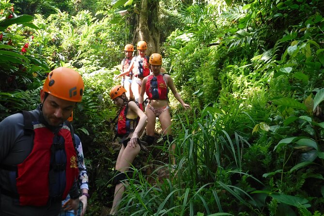 El Yunque Rainforest Tour: Natural Waterslides Adventure - Quick hits: what makes this tour worth your time