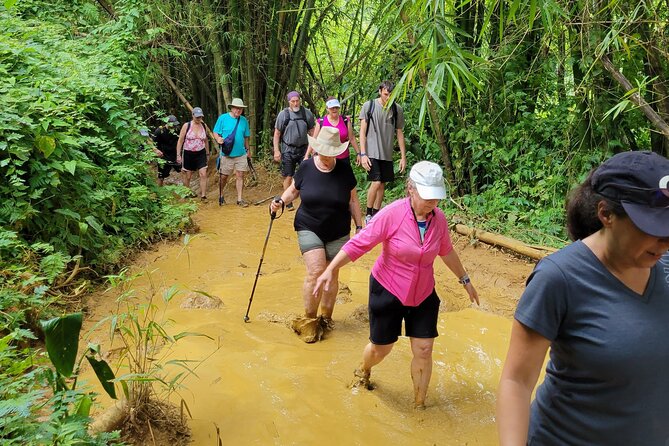 El Yunque Rainforest - Waterslide, Cliff jump, and Rope swing! - Price and Value: Why This Costs More Than DIY, and Why It Might Be Worth It